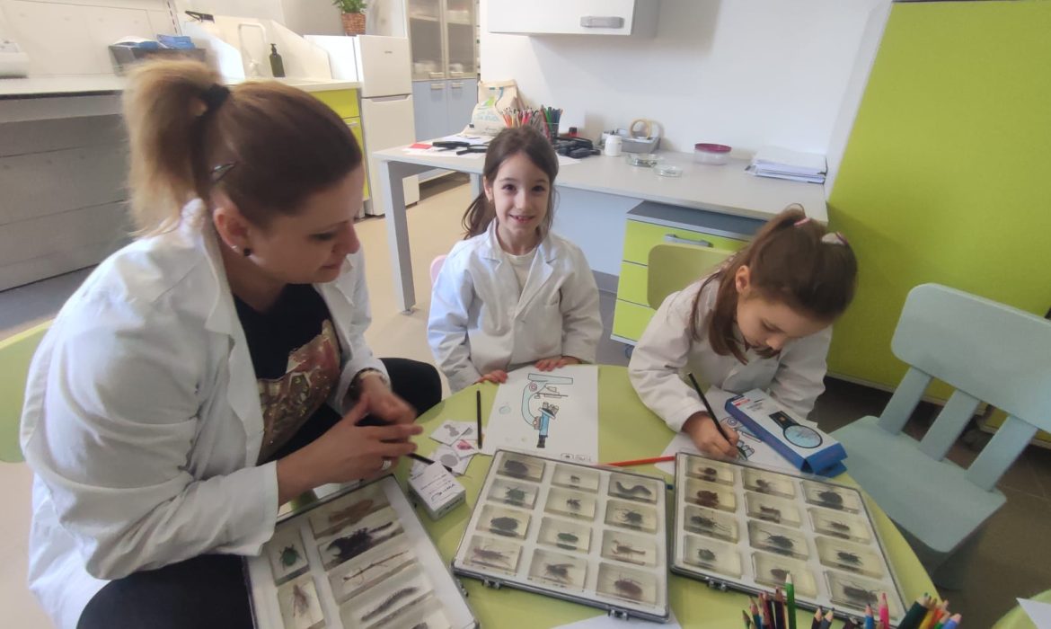 ZNANSTVENA AVANTURA predstavlja STEM na FESTIVALU ZELENE MAŠTE