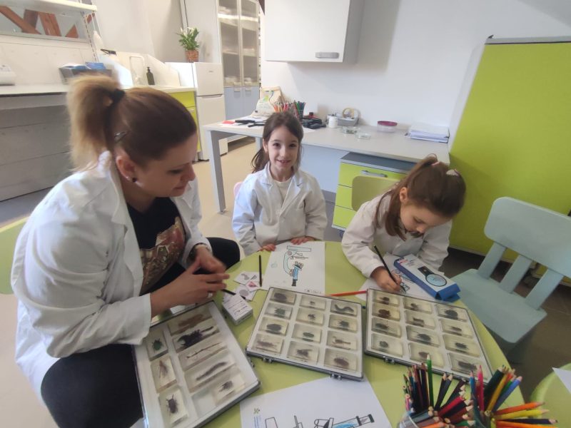 ZNANSTVENA AVANTURA predstavlja STEM na FESTIVALU ZELENE MAŠTE